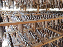 В Таганроге и окрестностях производили опасную для жизни продукцию