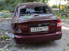 Дерево в Таганроге упало и разбило сразу две машины