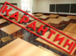 В Ростовской области с карантина сняли практически все учебные заведения