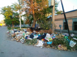 Таганрожцы устали терпеть кучи мусора от торгашей и обратились к властям