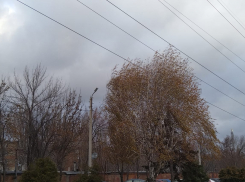 Восточный ветер подложил таганрожцам «свинью»