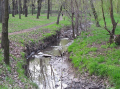 Экология малых рек снова пугает таганрожцев 