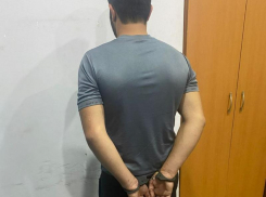 Подозреваемого в нападениях на женщин в Таганроге выдворят из России