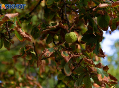 Несмотря на магнитную бурю в Таганроге на выходных будет ясно