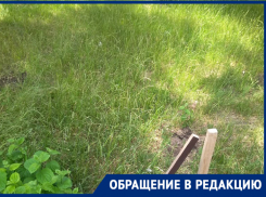 В Таганроге очередная детская площадка превращается в пустырь