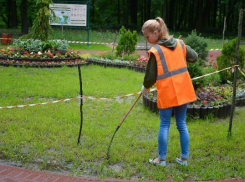 Ростовская область потратит 26 миллионов рублей на организацию подростковой занятости