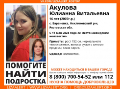 В Таганроге ведутся поиски пропавшей девушки