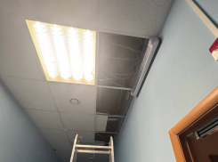 В пункте пропуска «Весело-Вознесенка» под Таганрогом нашли нарушения 