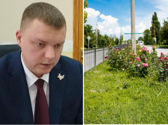 21 млн потратят на цветочное оформление Таганрога