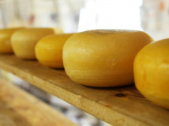 1.7 тонны сыра не пустили через ветеринарный пункт «Таганрогский» 