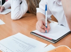 Второклассники Таганрога напишут Всероссийские проверочные работы по русскому языку