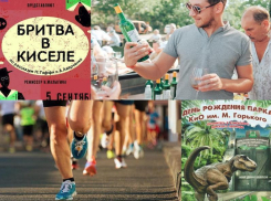 Куда пойти в Таганроге: фестиваль вина, забег по «взлётке» или День рождения Парка