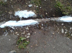 Жители Таганрога поймали управляющую компанию на халатности