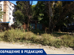 «Зачем бреем лысину?» - спрашивают таганрожцы у Администрации