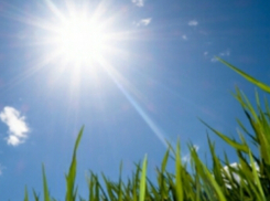 Погода в выходные дни будет теплой и без дождей