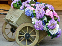 «Стыдоба!»: тонны цветов везут на продажу в Таганрог через материки и океаны