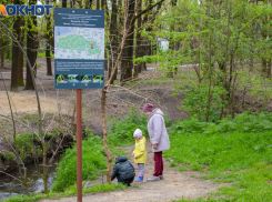 17 июня в роще Дубки Таганрога пройдёт субботник