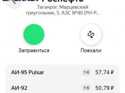 Высокая цена на топливо в Таганроге и Ростовской области дошла до уровня Госдумы 