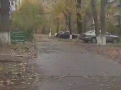 Пеньковые гномики заполонили Таганрог, жалуется местный автомобилист