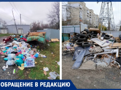 Когда в Таганроге «мусорная» тема сойдёт на нет