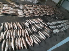 В акватории Таганрогского залива задержали троих браконьеров 