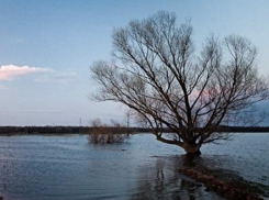 Шквалистый ветер обеспечит нагон воды к прибрежным районам Таганрога