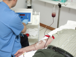 В Таганроге стало больше клещей, а в области диагностировали геморрагическую лихорадку в двух районах 