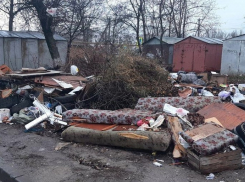 Стихийные свалки Таганрога: проблема остается нерешённой 