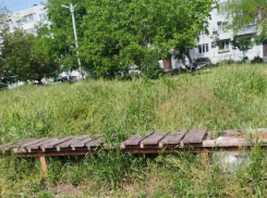 Трава по пояс: таганрожцы жалуются на джунгли у 30-й школы