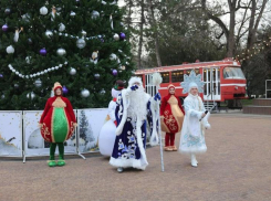 «Ёлка для избранных»: открытие главной новогодней ели в Таганроге вызвало волну критики в соцсетях