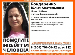 Женщину из Мурома ищут в Ростовской области