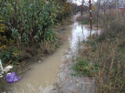 В Таганроге за гаражами  17-го Нового  «можно разводить рыб, вся городская вода там»