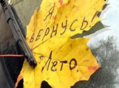 На будущей неделе в Таганрог придет бабье лето