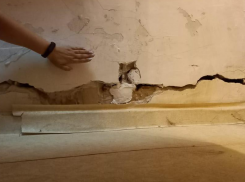 «А чем мы хуже?» - еще один дом в Таганроге требует внимания федеральных властей 