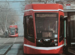 Поднимется  в цене модернизация трамвайного движения Таганрога