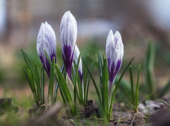 Погода в Таганроге: значительного потепления не будет