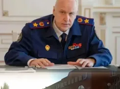 Уголовное дело поручил возбудить Александр Бастрыкин после нападения стаи собак на ребенка в Таганроге