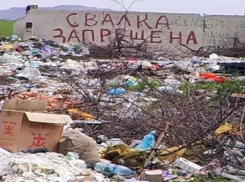 Таганрог попал в список городов с самыми масштабными стихийными свалками