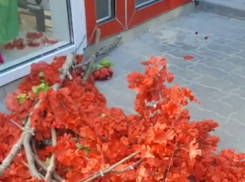 Люди-варвары испортили красоту, которую создала предприниматель Таганрога