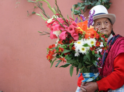 Вторая мама или свекобра: как отметить День свекрови 23 января - совет психологов замужним таганроженкам