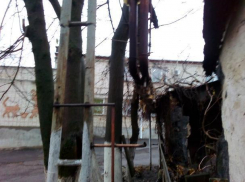 Трубы теплотрассы согревают воздух Таганрога