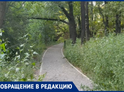 «Заросло по пояс»: роща «Дубки» в Таганроге оказалась ненужной