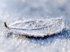 На выходных может появиться снег. Прогноз погоды для таганрожцев