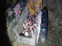 Рыбаки-браконьеры продолжают опустошать Таганрогский залив