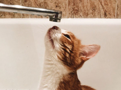 В Таганроге 14 августа ограничено водоснабжение на трех улицах