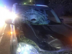 35-летнего мужчину насмерть сбили в Покровском