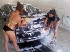 Шикарные шатенки в купальниках обслуживали автомобилистов на новой автомойке