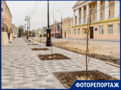 Палки вместо деревьев и новые фонари под старыми «соплями» - центральная улица Таганрога
