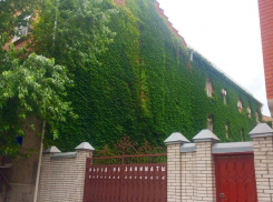 В самом центре Таганрога находится поликлиника с «живым фасадом» 