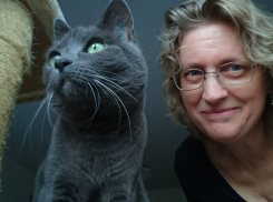 От таких больших кошек таганрожцам придётся избавиться - Мишустин приказал